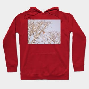 THE EAGLES TREES Hoodie